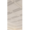 PANEL ŚCIENNY, W121 ORAC DECOR  KASETON SUFITOWY, PANEL DRZWIOWY, PANELE SUFITOWE DEKORACYJNE, OZDOBNE PANELE ŚCIENNE, KASETONY 
