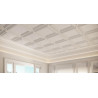 KASETONY ŚCIENNE, W123 ORAC DECOR, PANEL ŚCIENNY, 3D PANEL, PANELE ŚCIENNE OZDOBNE, DEKORACYJNE KASETONY NA ŚCIANĘ, OZDOBNE PANE