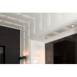 PANEL DRZWIOWY-ŚCIENNY D503 LUXXUS ORAC DECOR, SZTUKATERIA, KLASYCZNA, GŁADKA, OBUDOWA, DEKORACJA ŚCIENNA, WYTRZYMAŁA