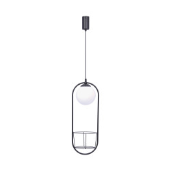 5003 PLANT 1 PENDANT LAMP ZUMA LINE