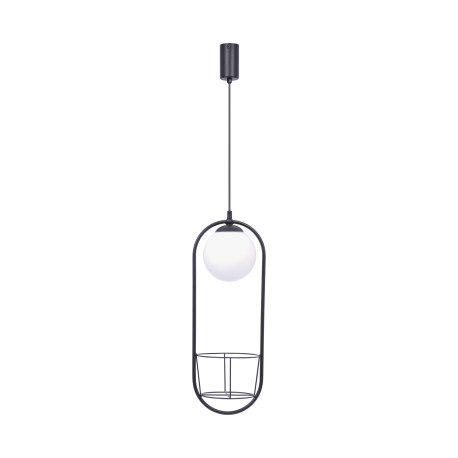 1 wisząca lampa 5003 plant Zuma Line | Dekorplanet