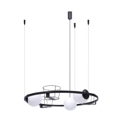 3 wisząca lampa 5005 plant Zuma Line