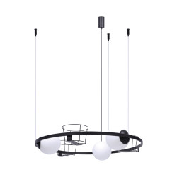 5005 PLANT 3 PENDANT LAMP ZUMA LINE