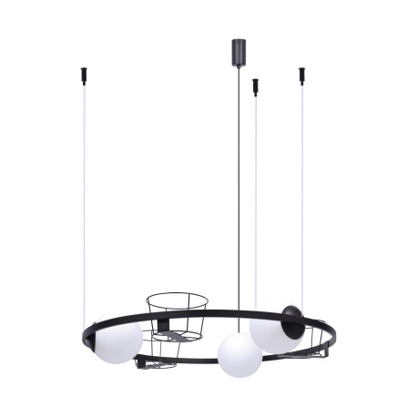 3 wisząca lampa 5005 plant Zuma Line